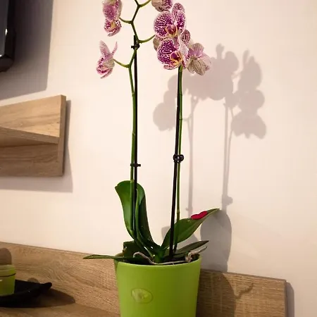 Apartment Opera Apart 2 *